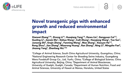 節(jié)糧環(huán)保轉(zhuǎn)基因豬 生物技術(shù)助力養(yǎng)豬業(yè)可持續(xù)發(fā)展