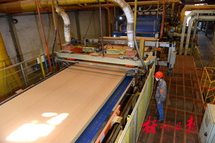 廣西三威林產(chǎn)工業(yè) 以創(chuàng)新研發(fā)驅(qū)動(dòng)產(chǎn)業(yè)升級(jí)，生物飼料產(chǎn)品引領(lǐng)綠色新賽道